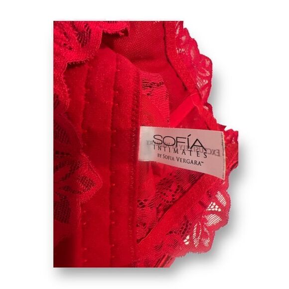 Sofia Intimates by Sofia Vergara Red Lace Bustier Bra Size 34B - Picture 4 of 6